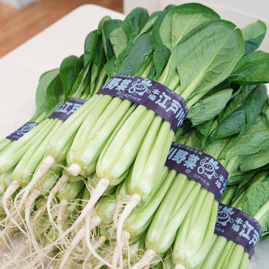 農家さんが学校給食用の小松菜を販売します！＠江戸川区役所前庭